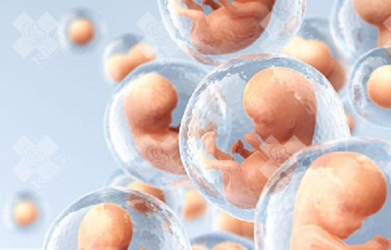 泰国选择试管婴儿