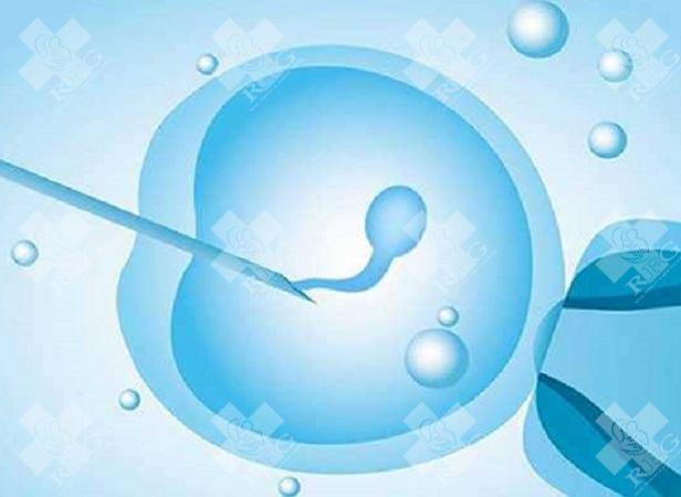 运城永济市哪个医院做试管婴儿