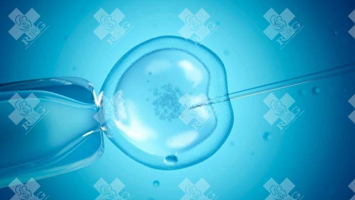 随着科技的不断发展和人们对生育问题的关注越来越高,在许多情况下,夫妇无法自然受孕时,他们通常会选择试管婴儿。泰国是许多外籍夫妇选择的热门目的地之一,因为其良好的医疗设施、专业团队和合理的价格。