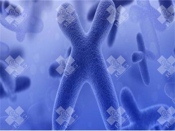 试管婴儿的禁忌有哪些？