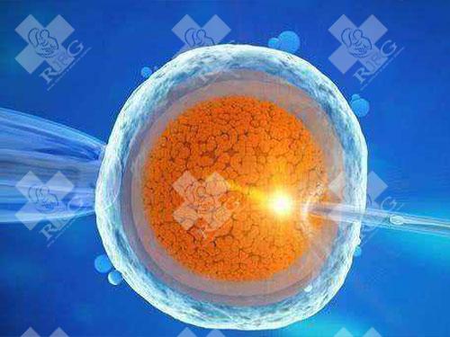 胚胎移植后hcg翻倍慢是什么原因？