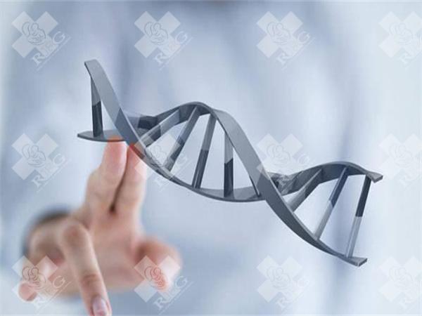 试管婴儿的移植囊胚优点是什么？