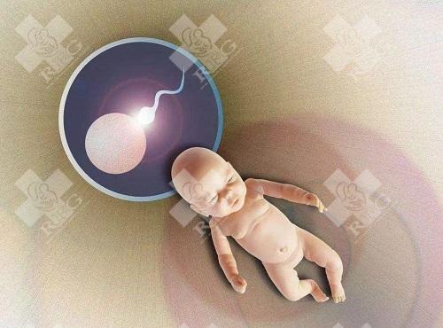 现在的试管婴儿的价格