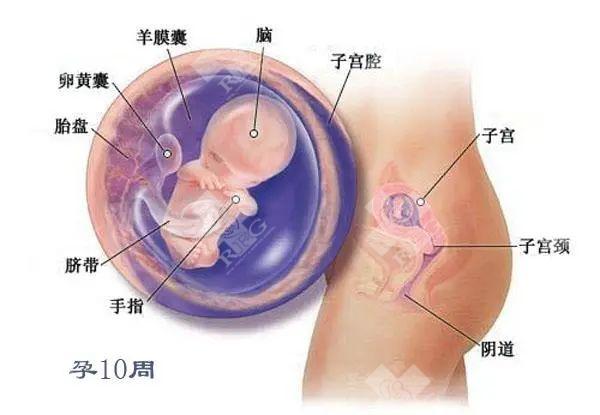 孕期有这些注意事项你都知道吗?