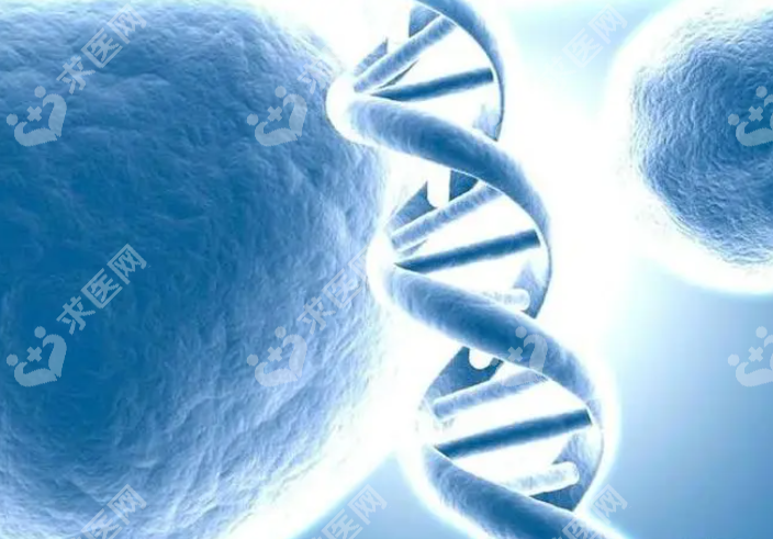 第四代弱精试管婴儿成功率怎么样？