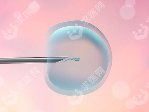 青海试管报销政策是什么？报销比例和范围根据情况而定
