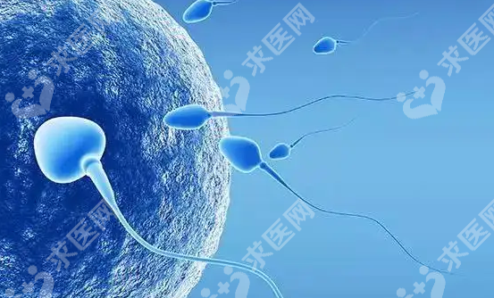 武汉江汉区在哪做试管婴儿？