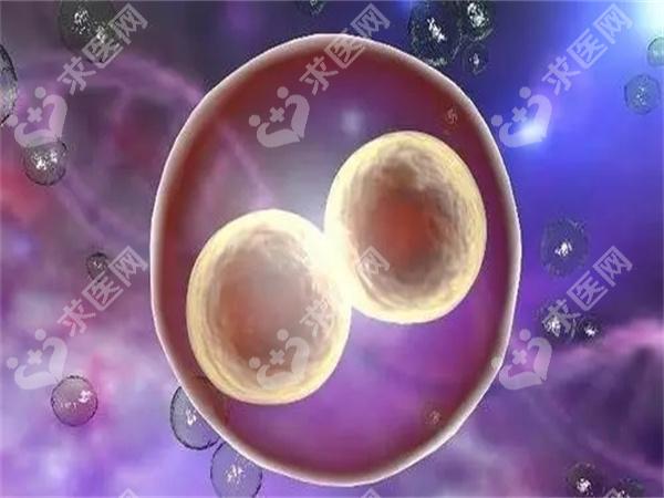 怀孕期间如何科学控制饮食？保障宝宝健康发育？