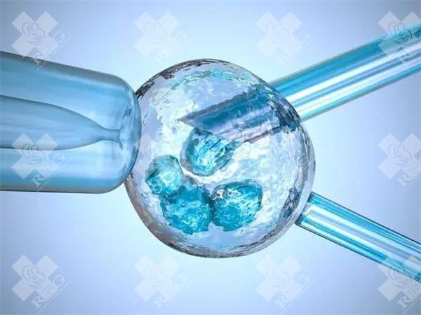 胚胎级别怎么划分?移植什么级别的胚胎成功率高?