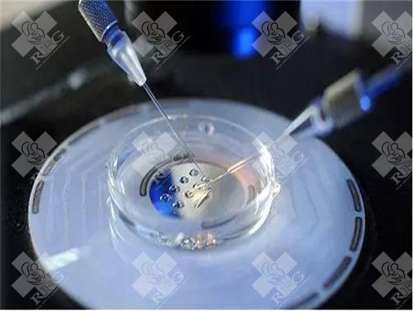 AMH低真的无所谓,不影响做试管婴儿吗?