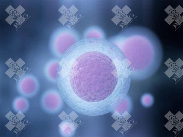 郑州三附院试管多少钱？郑州三附院试管检查项目及费用预估！