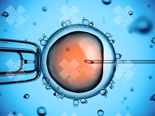 高龄女性做试管婴儿成功率有多少？如何提升高龄试管成功率？