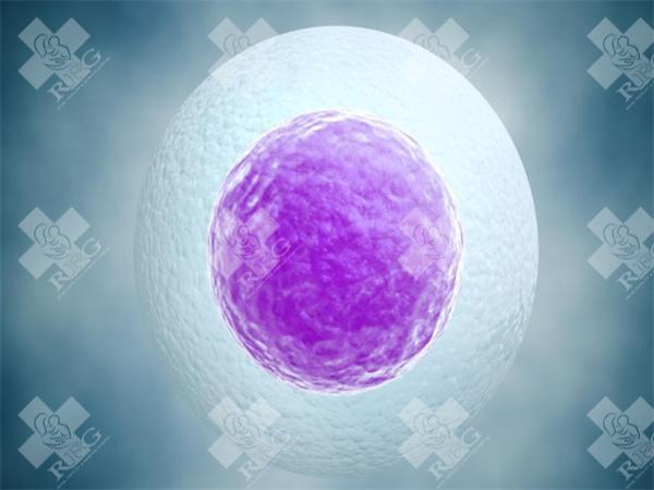 卵巢囊肿试管一般需要多长时间？卵巢囊肿试管移植的收费标准和周期时间！