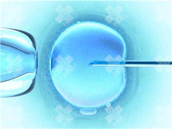 广东妇幼试管怎么样？广东妇幼试管成功率及费用明细！