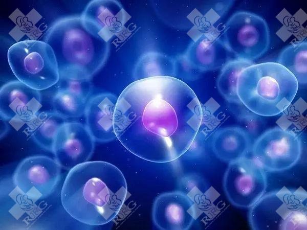 宫腔粘连可以考虑做试管吗?宫腔粘连试管促排方案及流程解读!