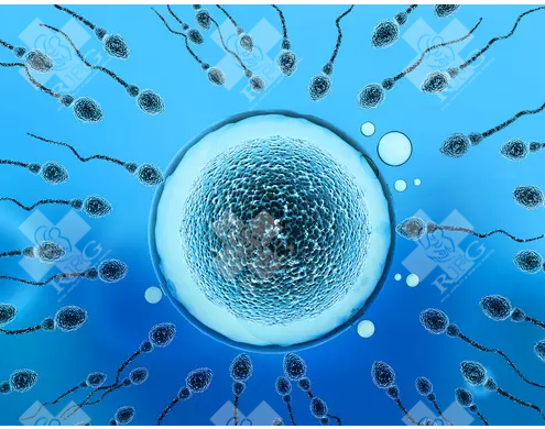 常州新北区试管婴儿哪家医院好？