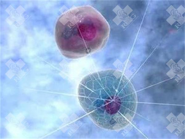 试管婴儿移植后能洗澡吗?洗澡后有什么影响?