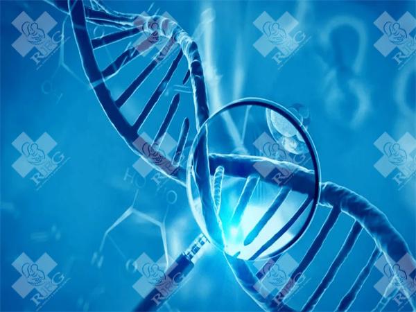 试管检查项目必须做哪些检查?如何评估女性卵巢储备功能?