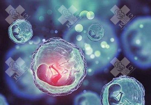 新乡封丘县试管婴儿哪个医院好?