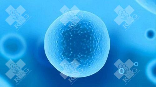 铜仁碧江区试管婴儿在哪做?