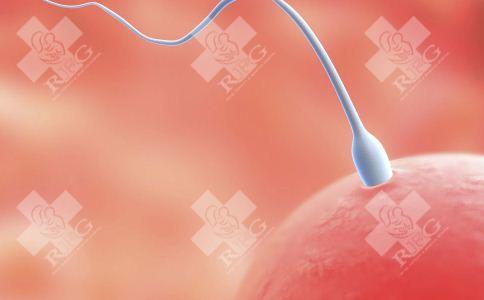 吉安遂川县试管婴儿哪个医院好?