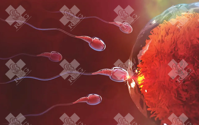 三亚海棠区试管婴儿需要什么条件?