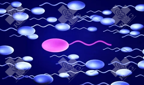 菏泽东明县试管婴儿哪里可以做?