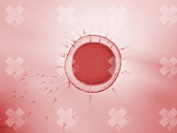 北京平谷区试管婴儿需要什么条件?