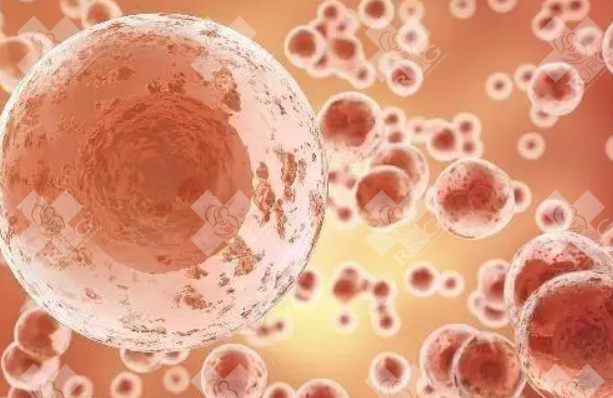 石嘴山惠农区试管婴儿可以做吗?