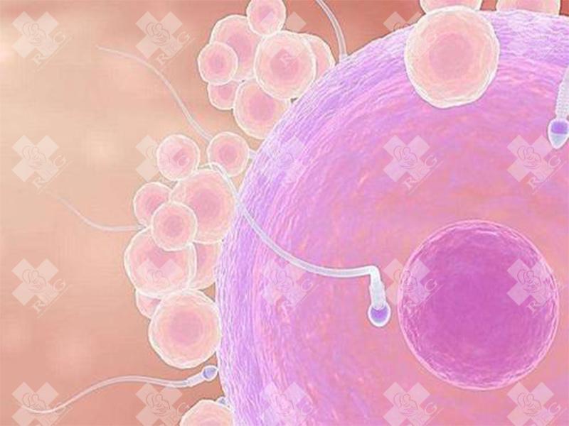 河源紫金县试管婴儿需要什么条件?