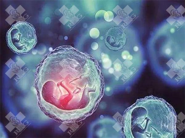 北京试管婴儿医院高成功率排行,看看有哪家!