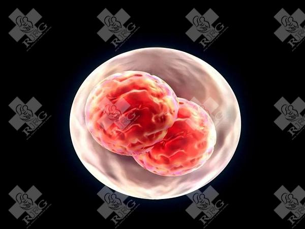 深圳龙华区试管婴儿需要什么条件?