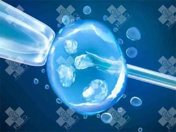 2024年在上海做三代试管婴儿大概要多少钱？附费用明细！