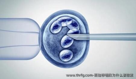胚胎移植前为什么要憋尿