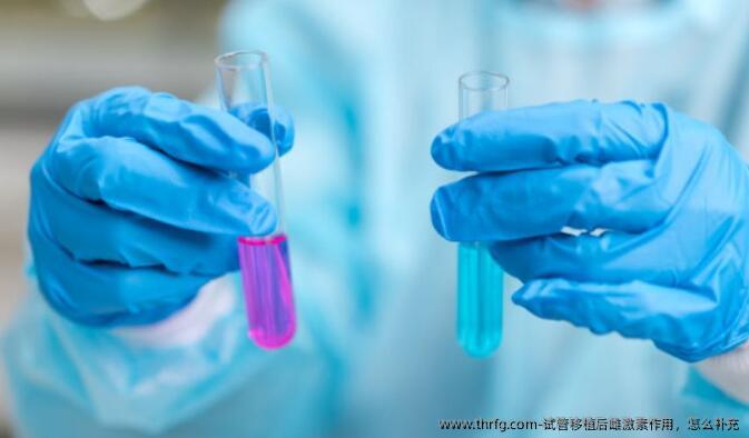 试管移植后雌激素作用，怎么补充