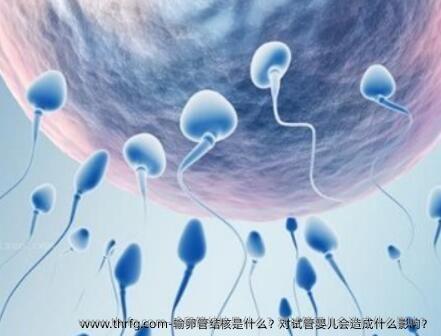 输卵管结核是什么？对试管婴儿会造成什么影响？