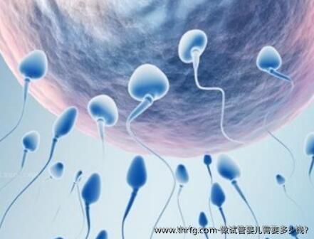 做试管婴儿需要多少钱?