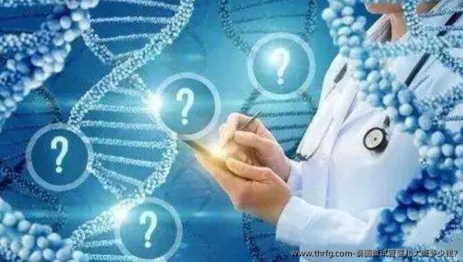 泰国做试管婴儿大概多少钱?