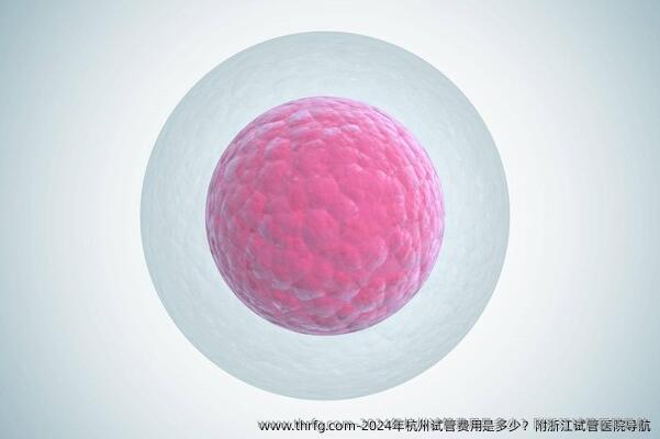 2024年杭州试管费用是多少？附浙江试管医院导航