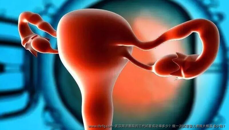 武汉同济医院的三代试管成功率多少？做一次试管婴儿费用大概是多少钱？
