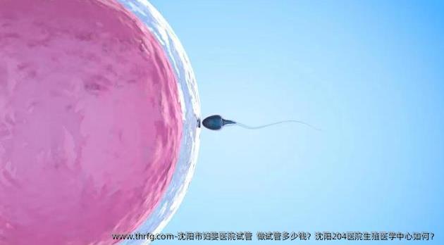 沈阳市妇婴医院试管 做试管多少钱?沈阳204医院生殖医学中心如何?