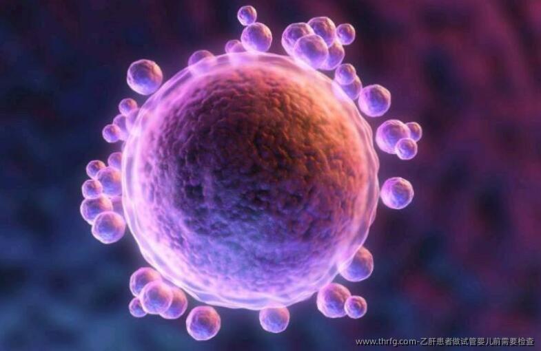 乙肝患者做试管婴儿前需要检查