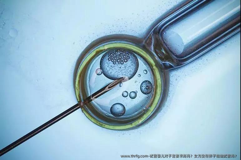 试管婴儿对子宫要求高吗?女方没有卵子能做试管吗?