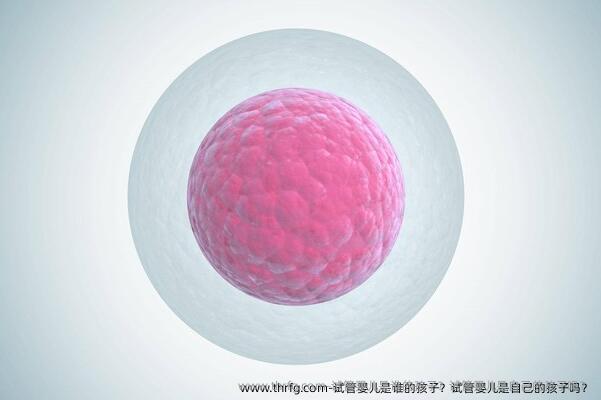 试管婴儿是谁的孩子？试管婴儿是自己的孩子吗？