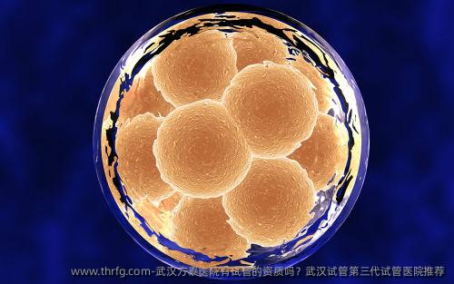 武汉方泰医院有试管的资质吗?武汉试管第三代试管医院推荐
