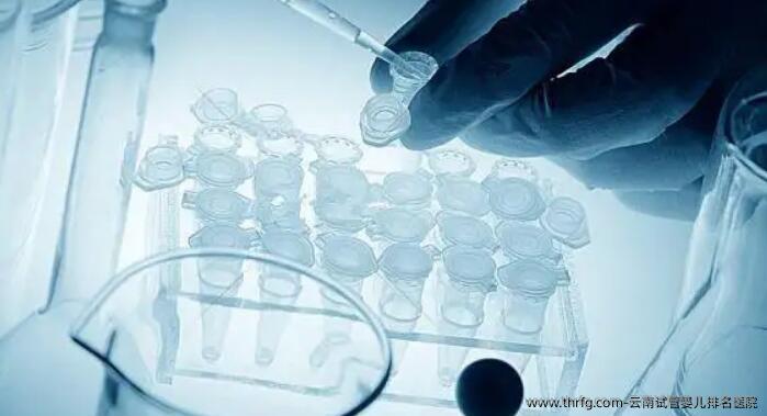 云南试管婴儿排名医院