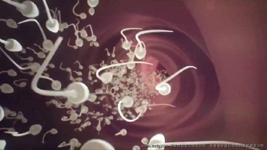 详解试管婴儿保胎药物：来看看移植后保胎到底需要多少钱