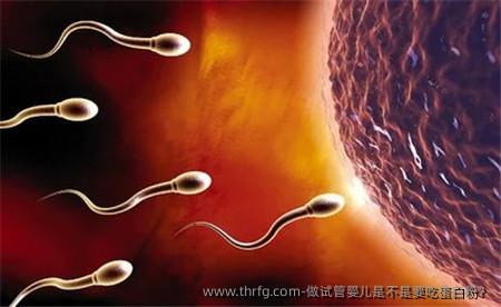 做试管婴儿是不是要吃蛋白粉？