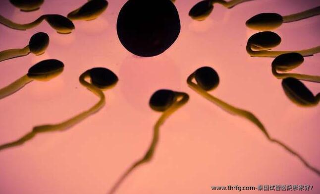 泰国试管医院哪家好？