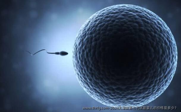 2024天津做第三代试管婴儿的价格是多少?